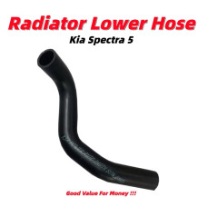 Lower Hose Lower Hose